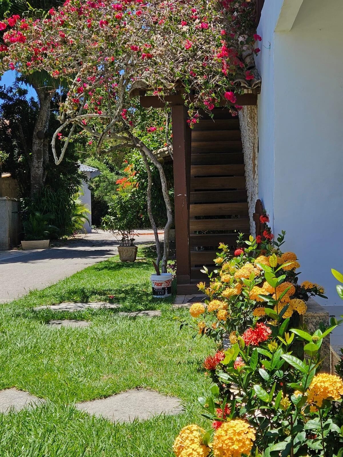 Un jardí amb una pèrgola de fusta, un camí i diverses plantes en flor.