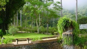 A serene garden with a pond, lush greenery, and a stone wall. - Pousada & Spa Vrindavana (Teresópolis)
