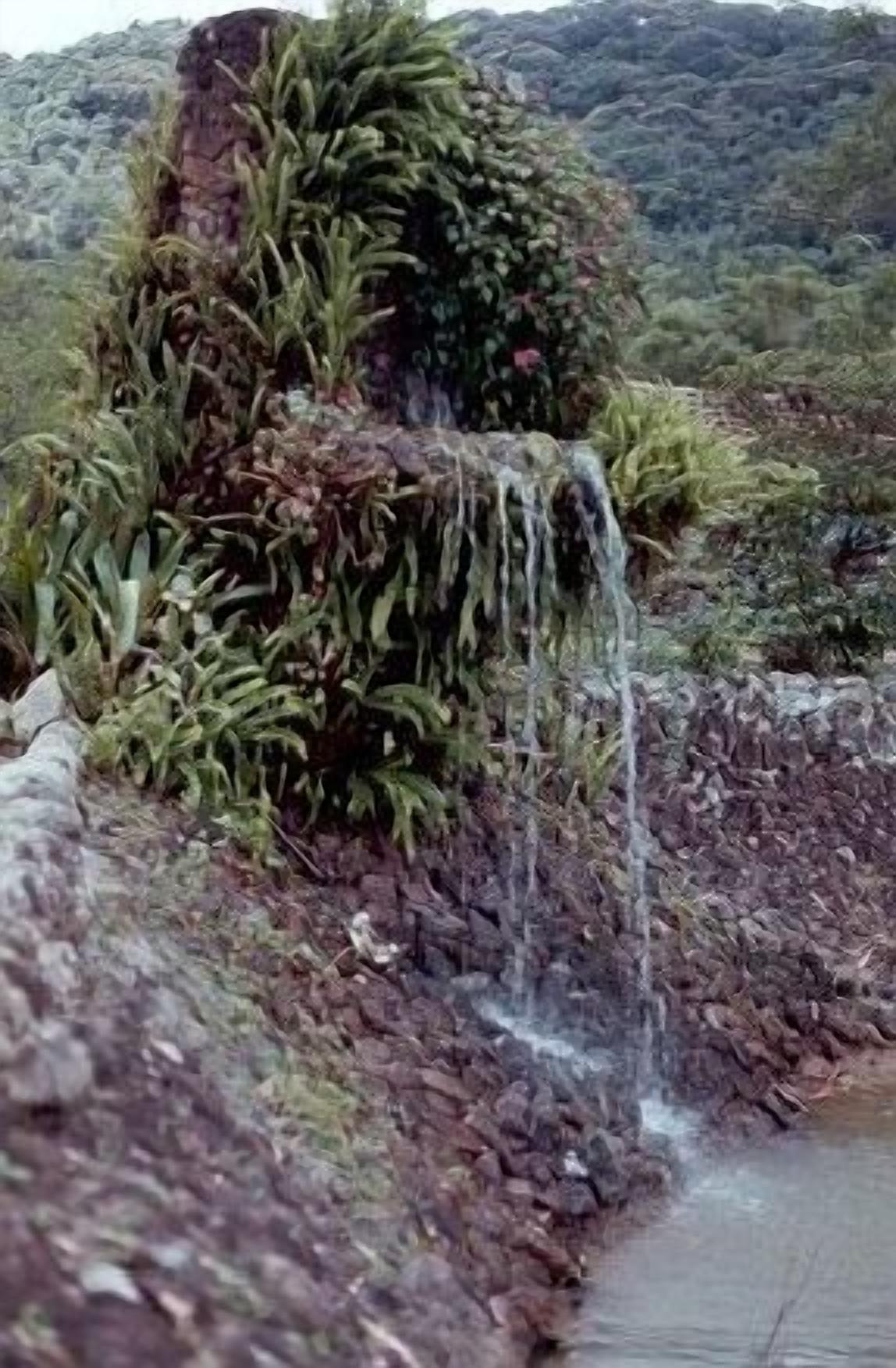 Paisaje natural con cascada que fluye sobre rocas y vegetación.