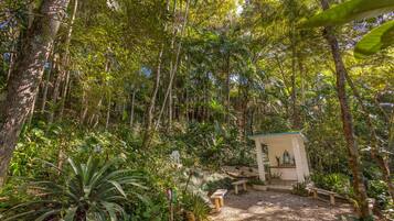 Um jardim isolado com um pequeno edifício branco, cercado por folhagem densa e árvores.