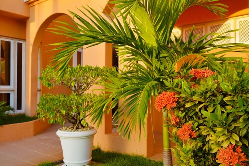 Hotel Terra do Sol