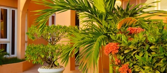 Hotel Terra do Sol