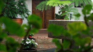 A courtyard with potted plants, a water feature, and a wooden door in the background. - Posada Santa Rita (Mascota)