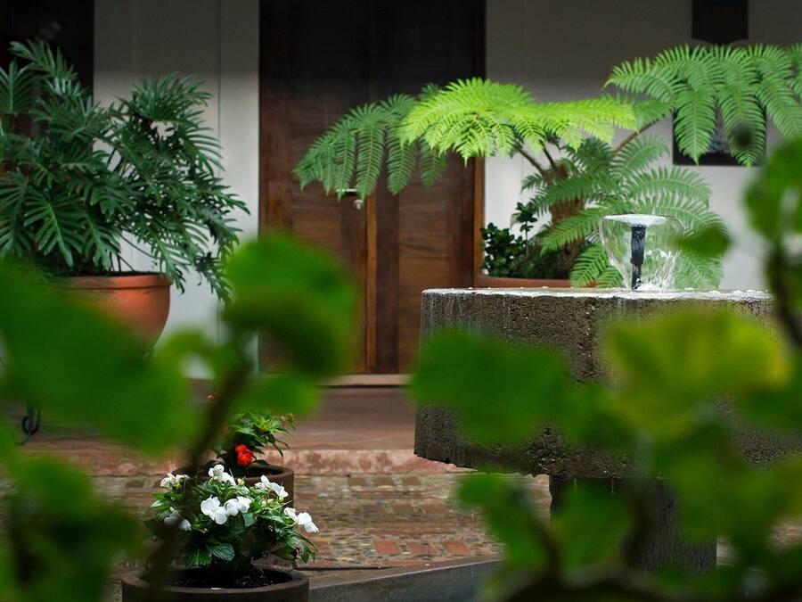 A courtyard with potted plants, a water feature, and a wooden door in the background.