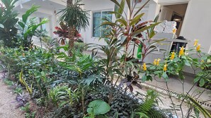 A garden area with various plants and a white building in the background. - Hotel Casa Blanca (Chetumal)