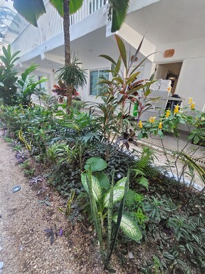 Un espace jardin agrémenté de diverses plantes, avec un bâtiment blanc en arrière-plan.