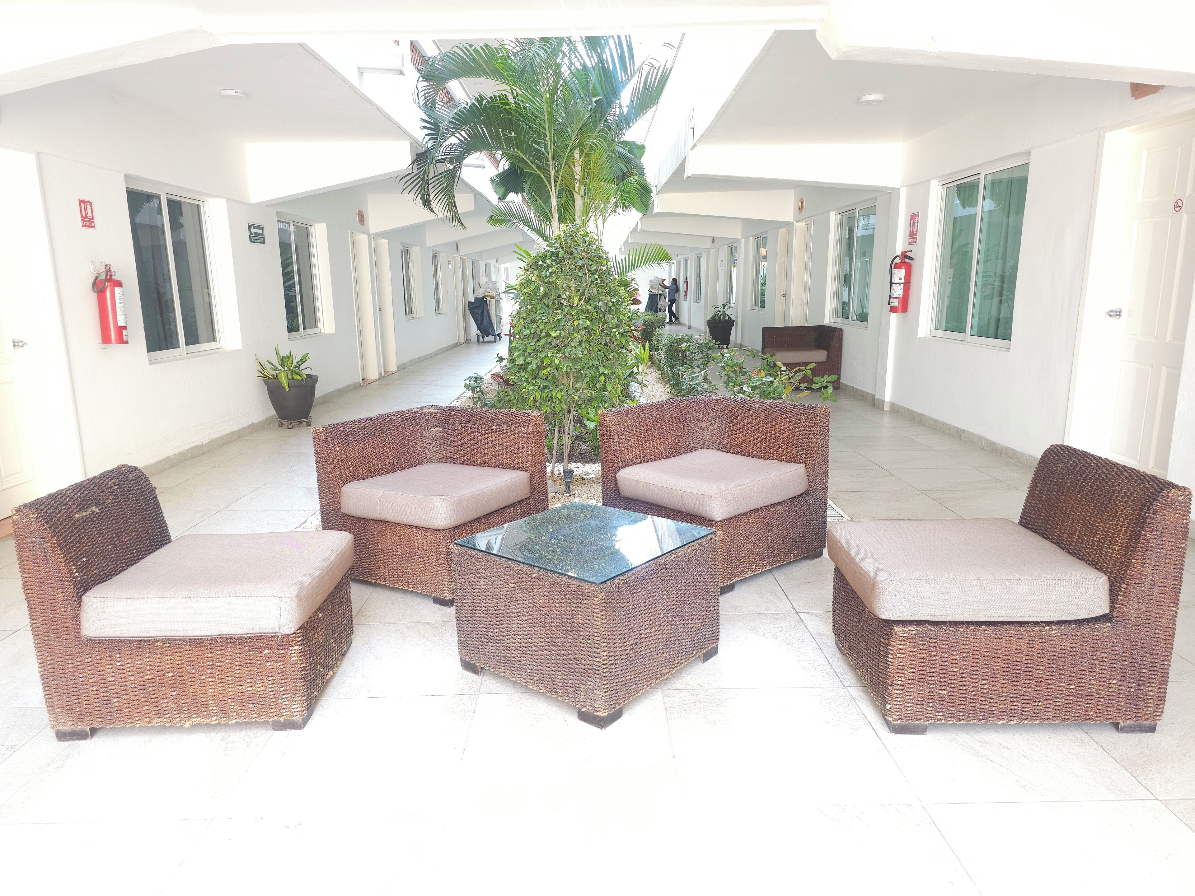 Un vestíbulo con mobiliario de mimbre, una mesa con superficie de vidrio y una planta en maceta.