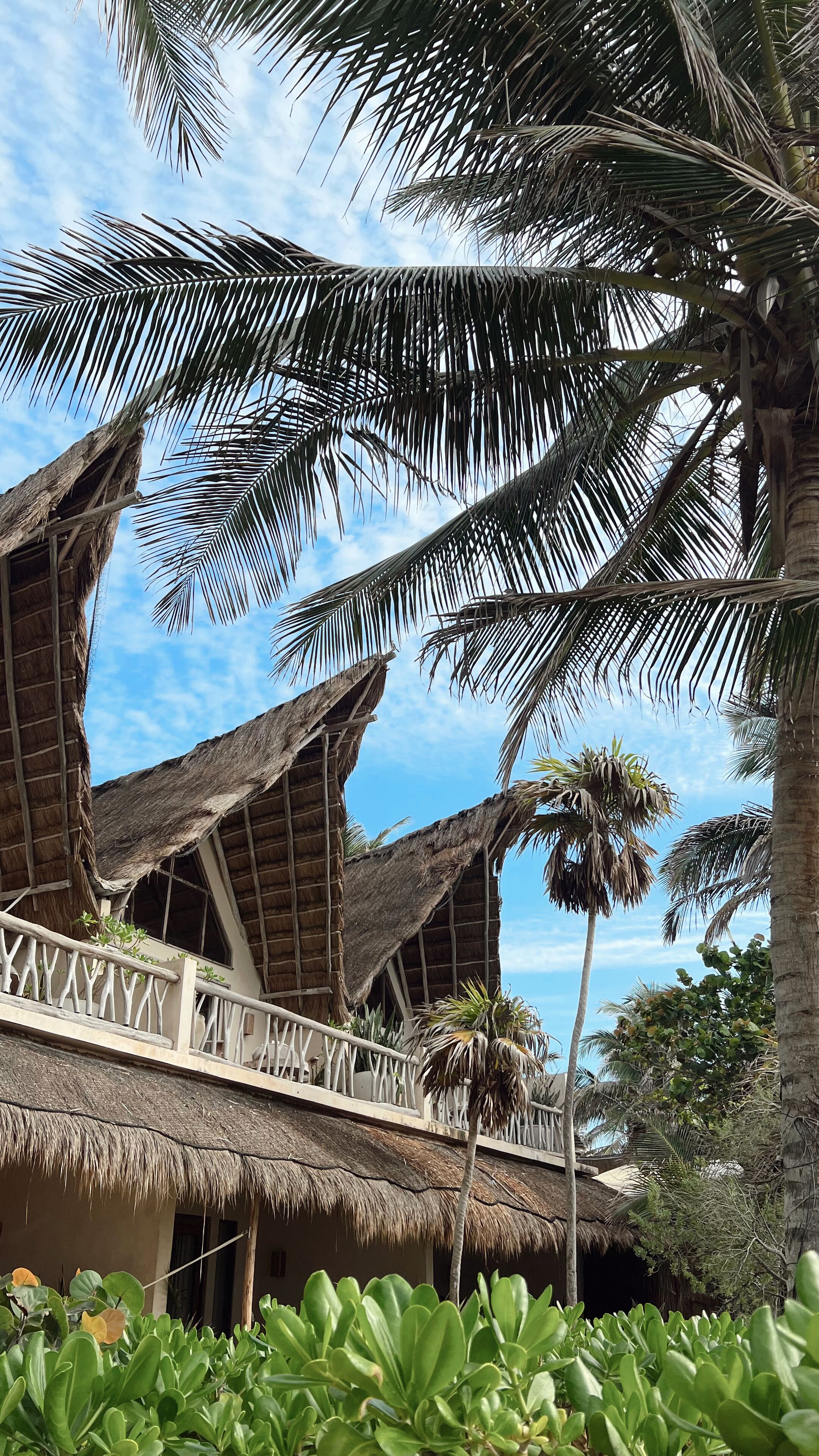 A thatched-roof structure with a balcony, surrounded by lush greenery and palm trees.