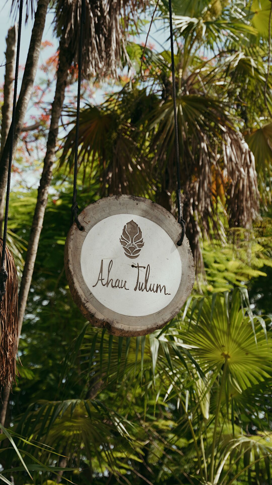 A wooden sign with the inscription "Aha! Tulum" hanging amidst tropical foliage.