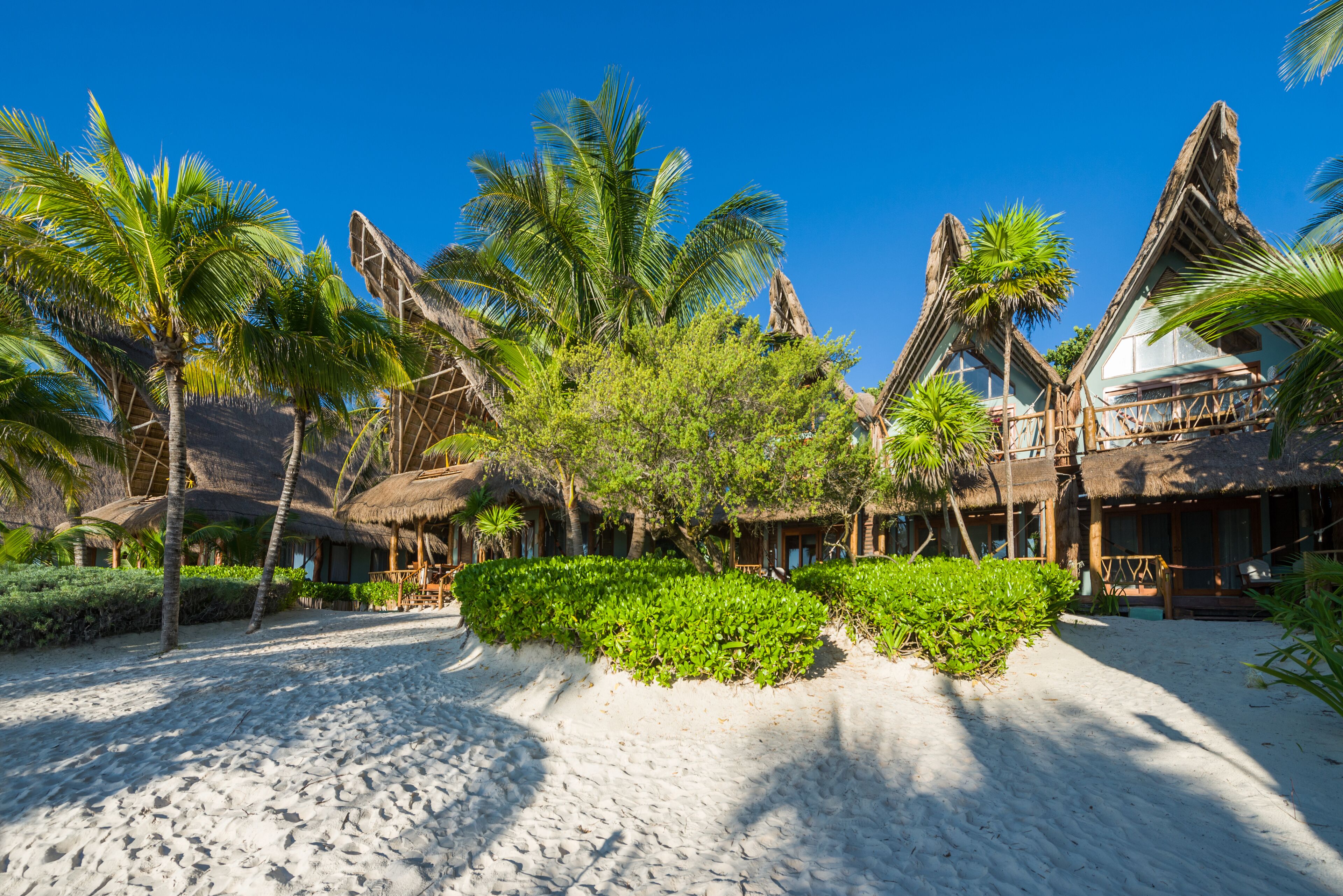 A beach resort with thatched-roof huts, palm trees, and a sandy walkway.