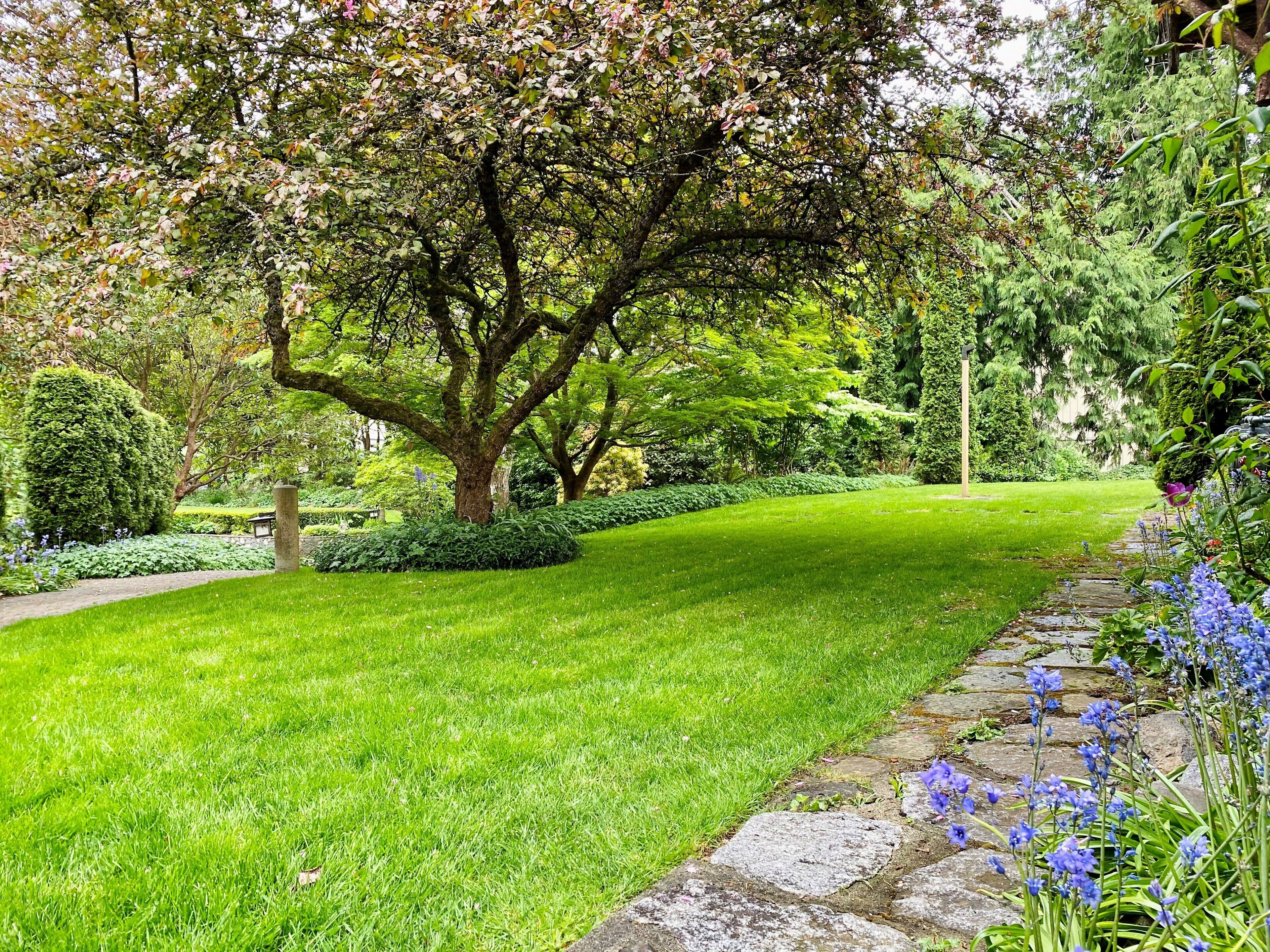 A well-maintained garden with a variety of trees and shrubs, a stone pathway, and a grassy lawn.
