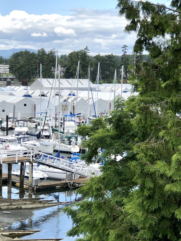 A marina with multiple boats docked, surrounded by trees and a clear sky.