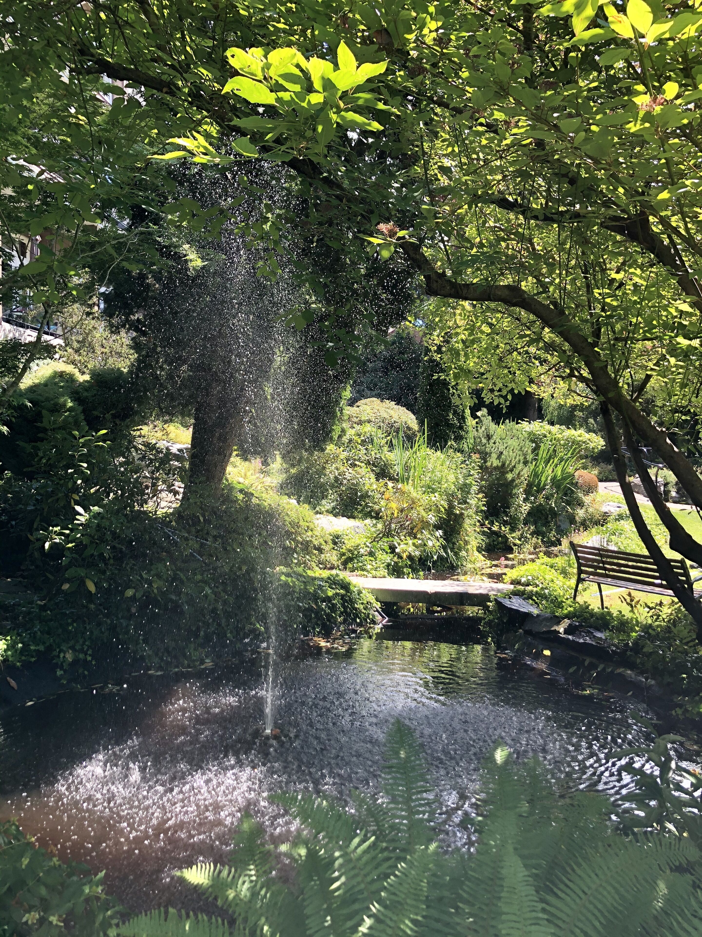 庭園