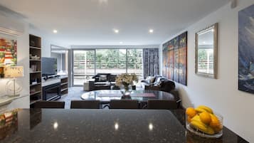 Apartemen, lantai dasar | Area keluarga | TV layar datar, perapian, dan pemutar DVD