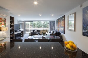 G2 – 2 Bedroom Apartment | Living area | Flat-screen TV, fireplace, DVD player - 22 Hallenstein Apartments by Staysouth (Queenstown)