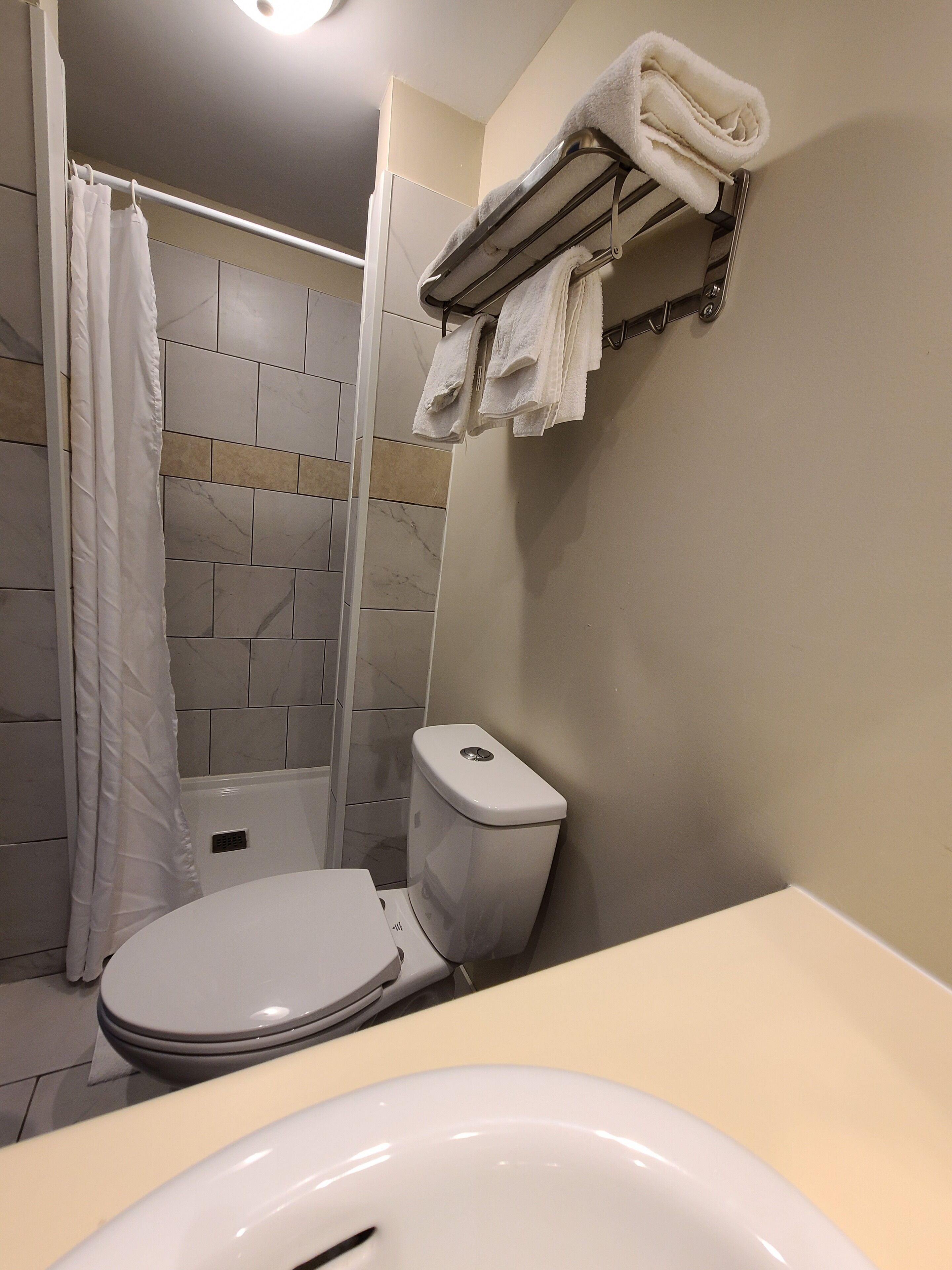 A bathroom with a toilet, shower, and sink.