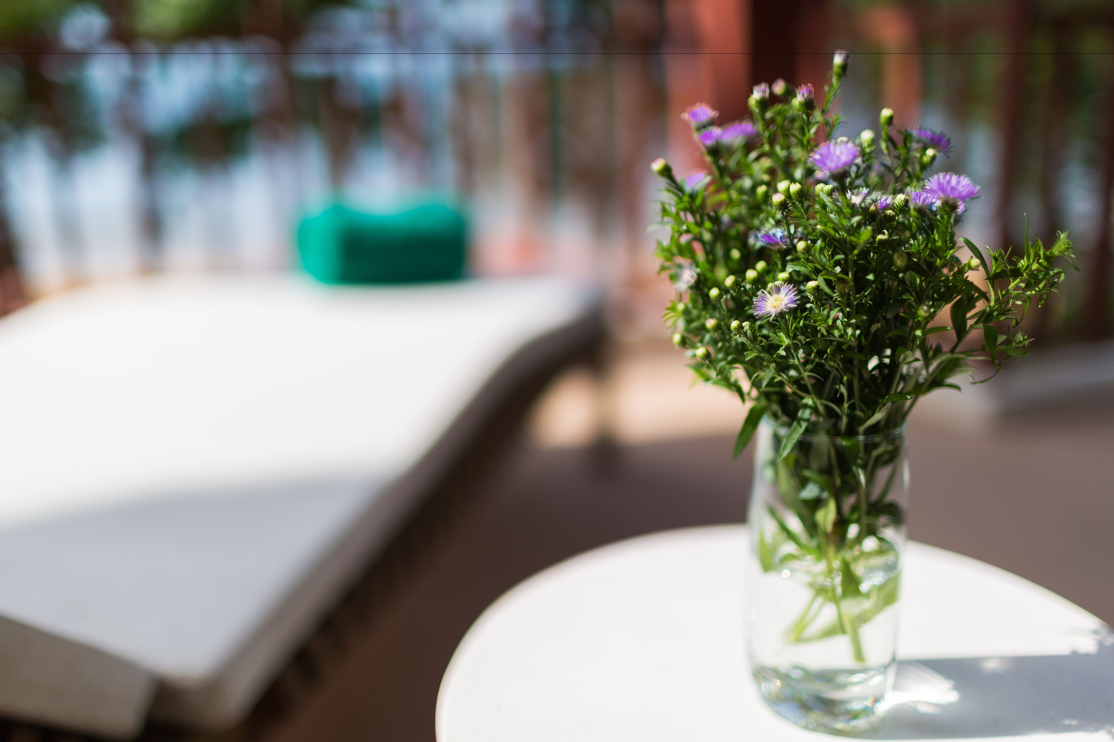 A clear view of a small table with a vase containing purple flowers.