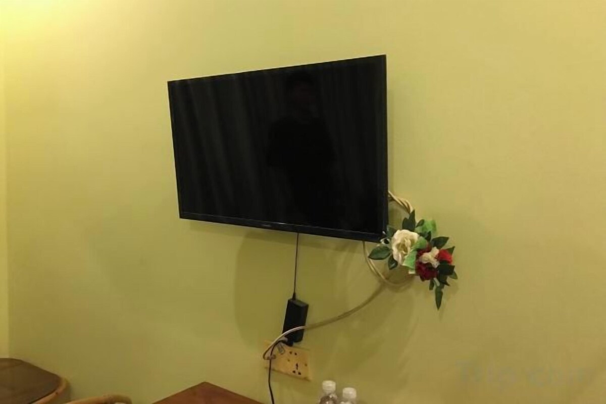 Television