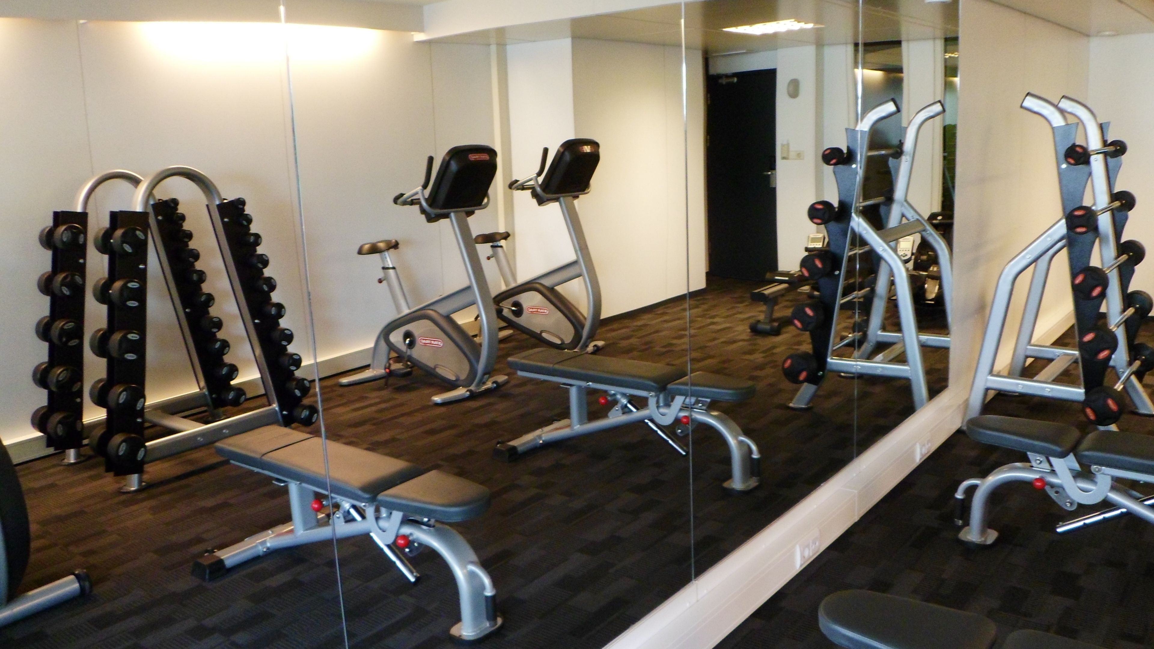 Une salle de sport équipée de divers appareils d’exercice, notamment des tapis de course et des appareils de musculation, et dotée d’un mur recouvert de miroirs.
