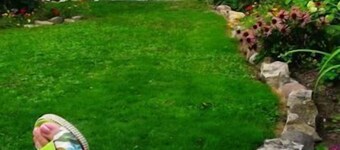 Simcoe Suites on the Henley B&B