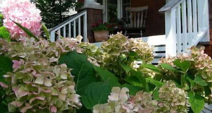 Simcoe Suites on the Henley B&B