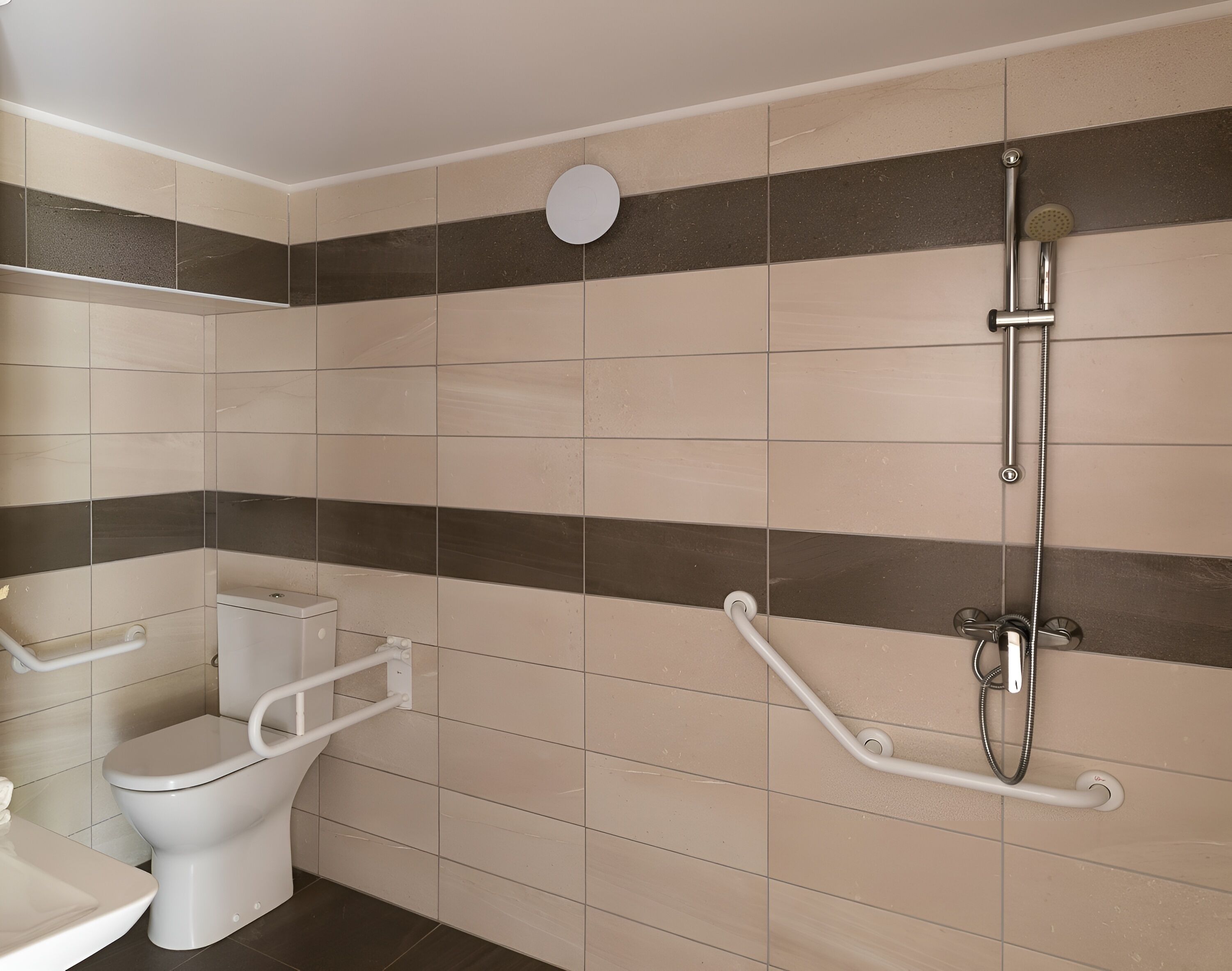 A bathroom with a toilet, a shower, and a handrail.