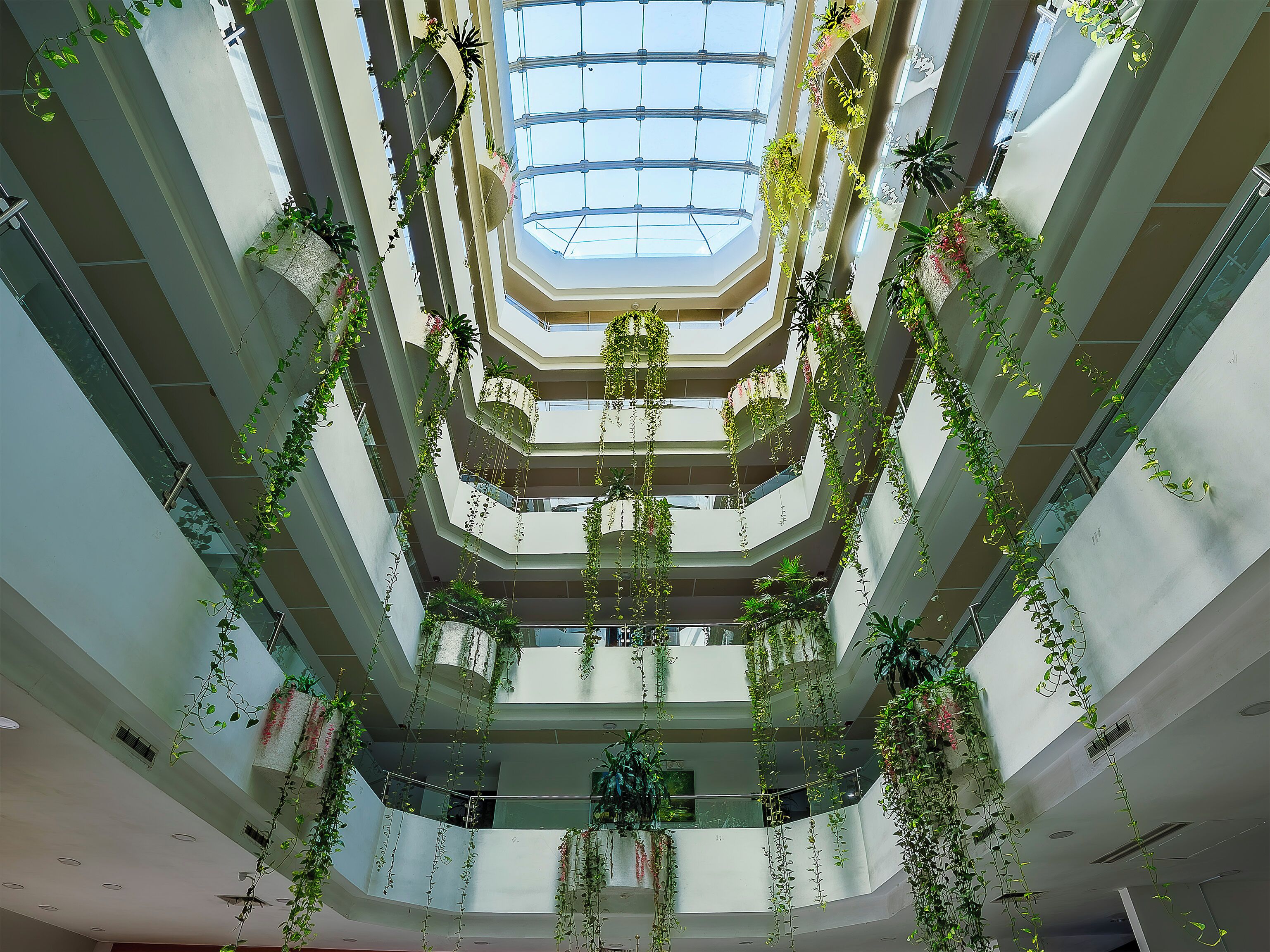 A multi-level atrium with hanging plants and a skylight.