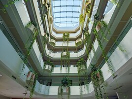 Un atrio de varios niveles con plantas colgantes y tragaluces.