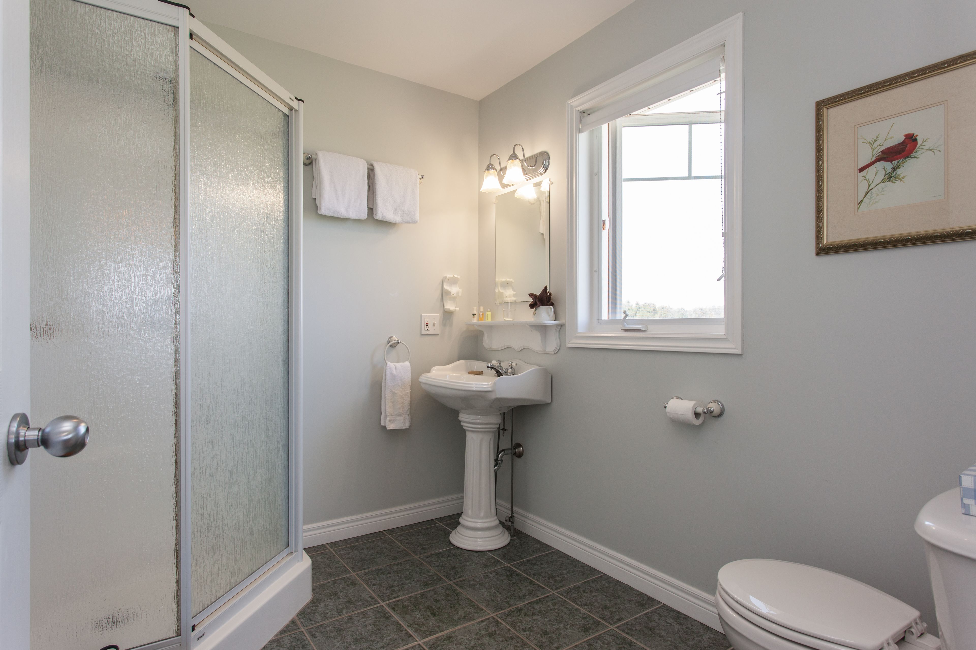 Un baño con mampara de vidrio, lavamanos pedestal, inodoro y ventana.
