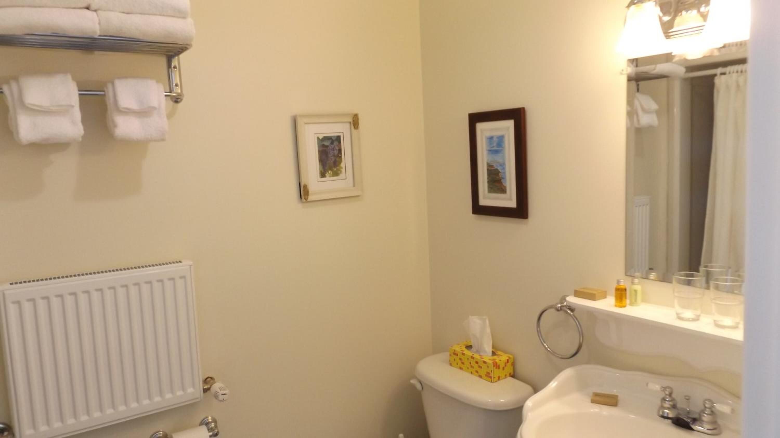 A bathroom with a toilet, sink, and a radiator. There are towels hanging on a rack and a framed picture on the wall.