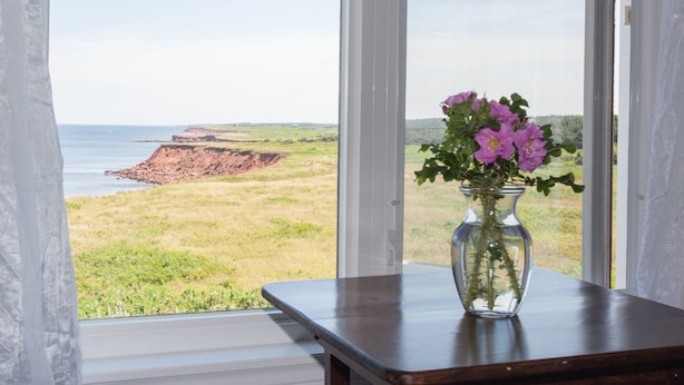 A view through a window with a vase of flowers on a table. - Johnson Shore Inn (Rock Barra)