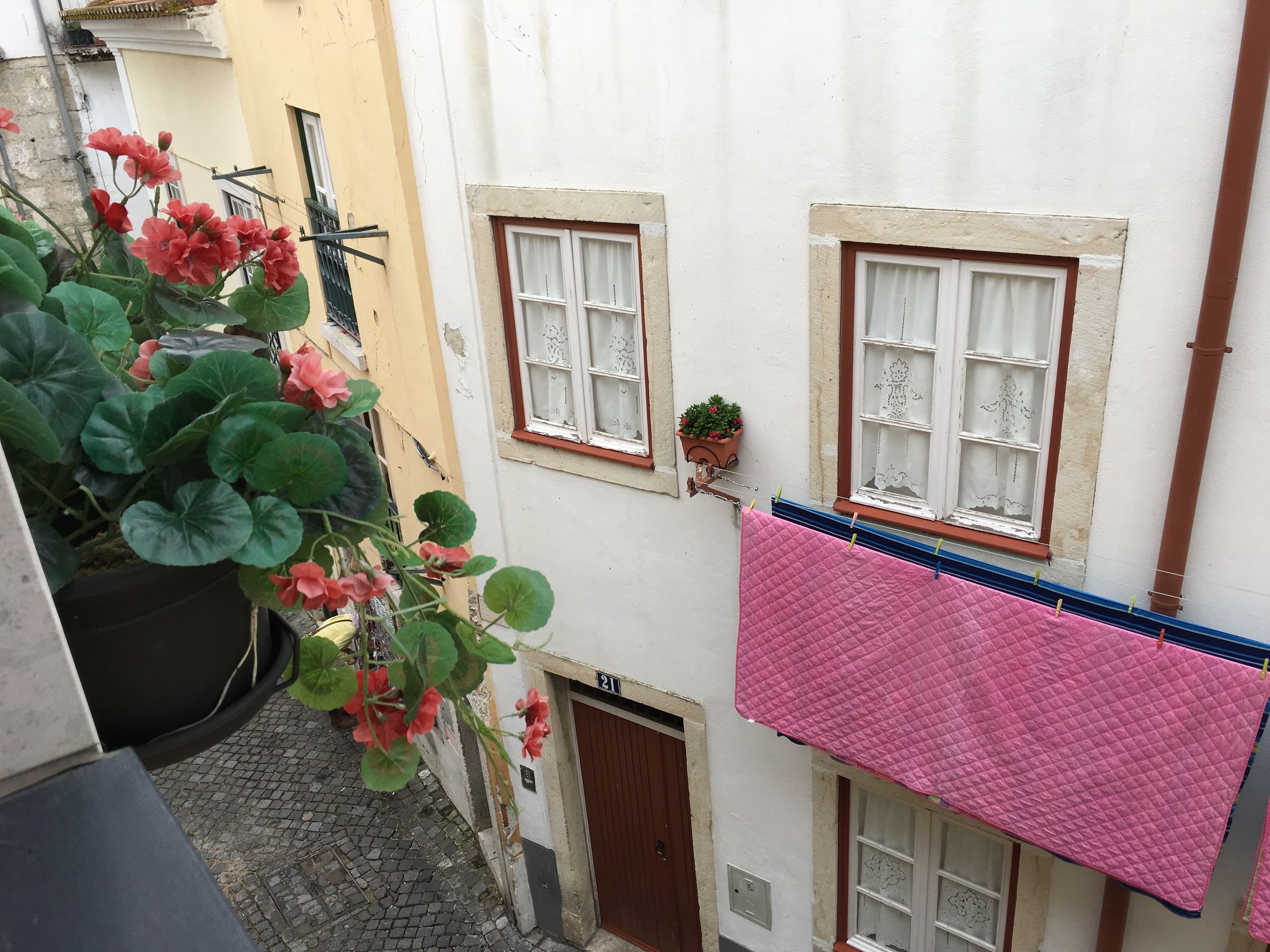 Un callejón estrecho flanqueado por edificios, una planta en maceta con flores rosadas y un objeto acolchado rosa colgado en una cuerda.