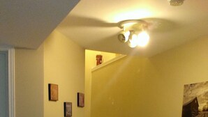 Bachelor Suite with Basement
