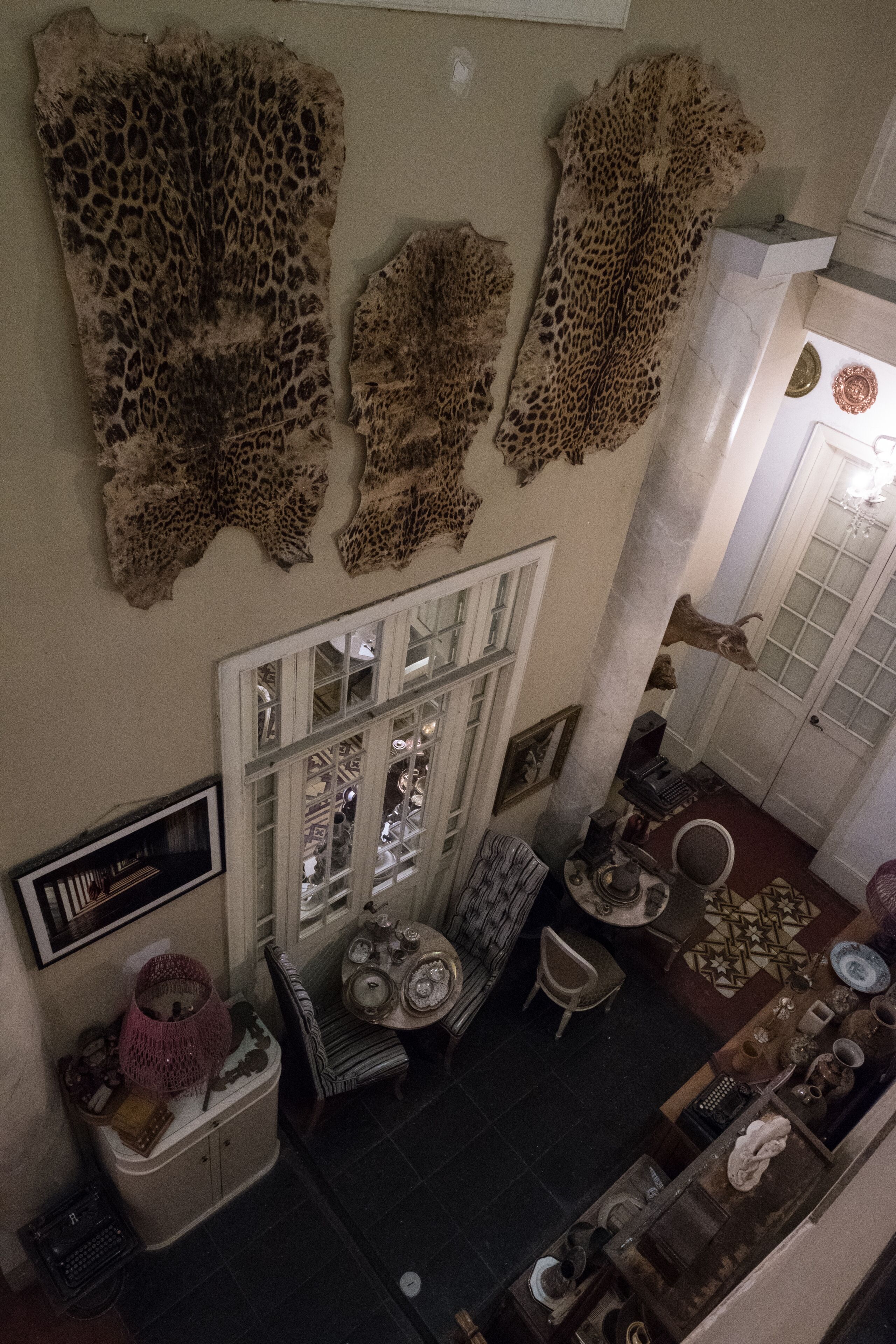 A room with a high ceiling, a large window, and a fireplace. There are several decorative items on the walls, including animal skins and a mounted animal head.