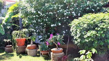 花園