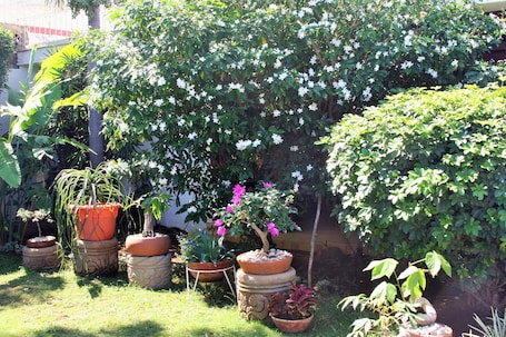 Jardín