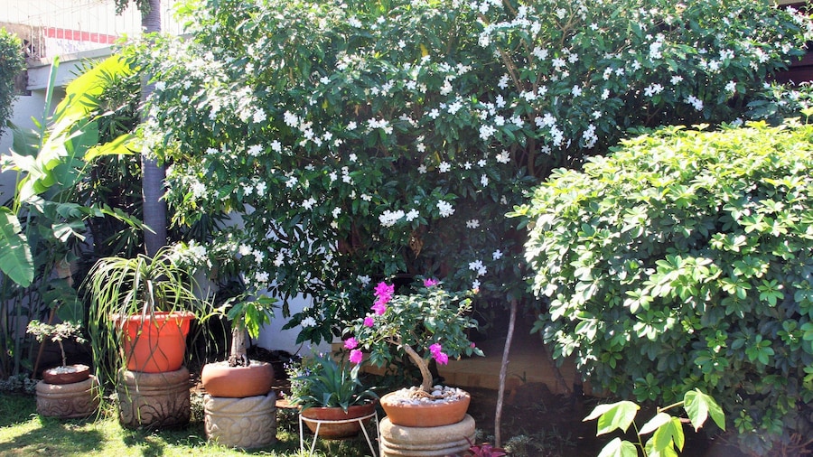 La Posada del Arcangel