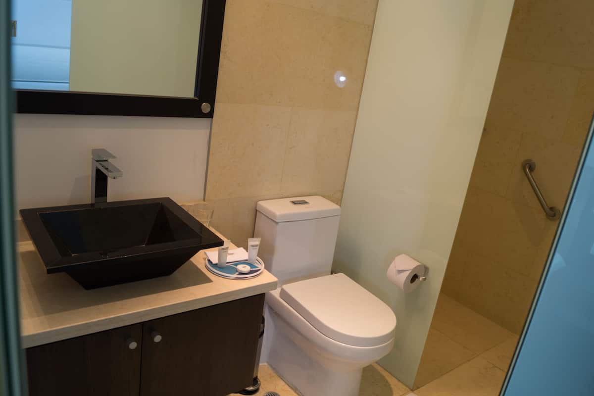 Douche, articles de toilette de luxe, sèche-cheveux, peignoirs