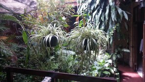 Jardin