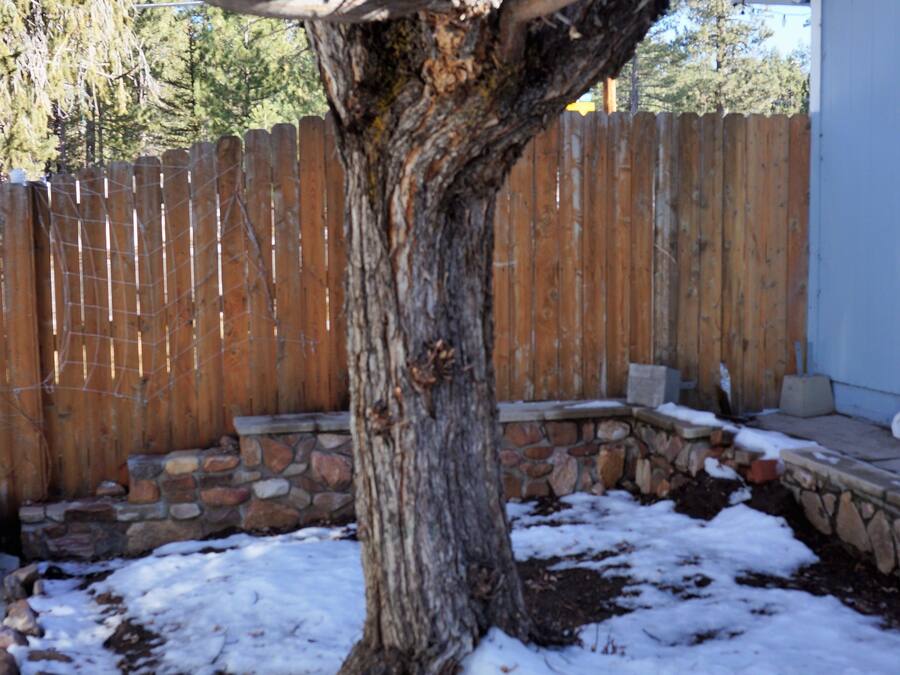 Hytte, 2 soverom | Hageutsikt