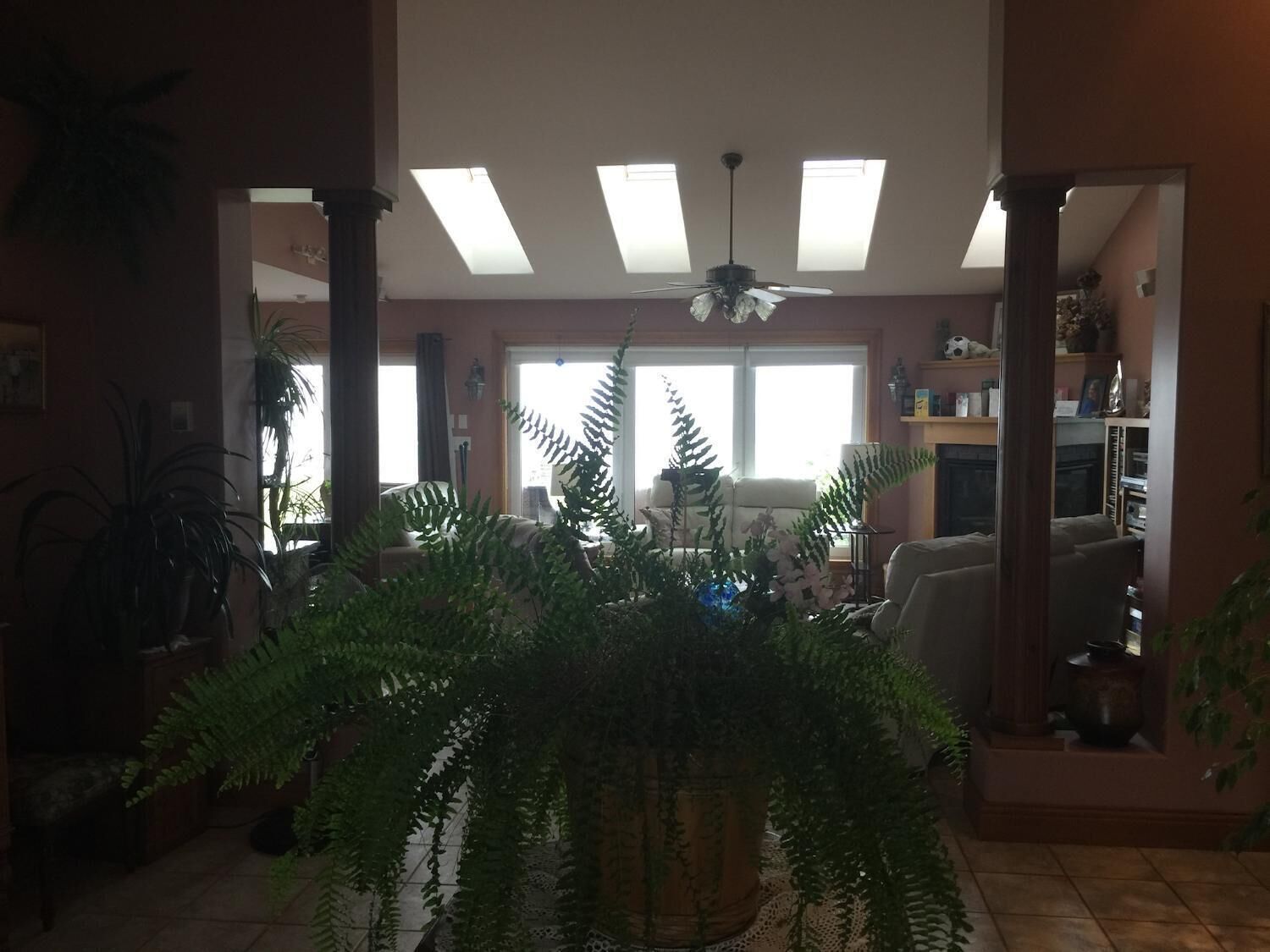 المنشأة من الداخل