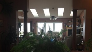 A living room with a large potted fern, a ceiling fan, and a window with natural light.