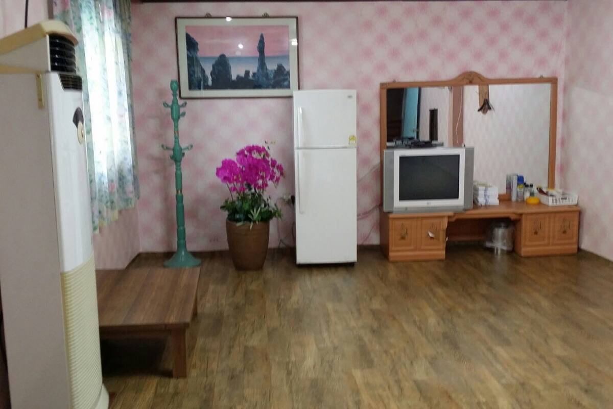 Habitació amb terra de fusta, un refrigerador, un armari blanc, una televisió i una planta en test.