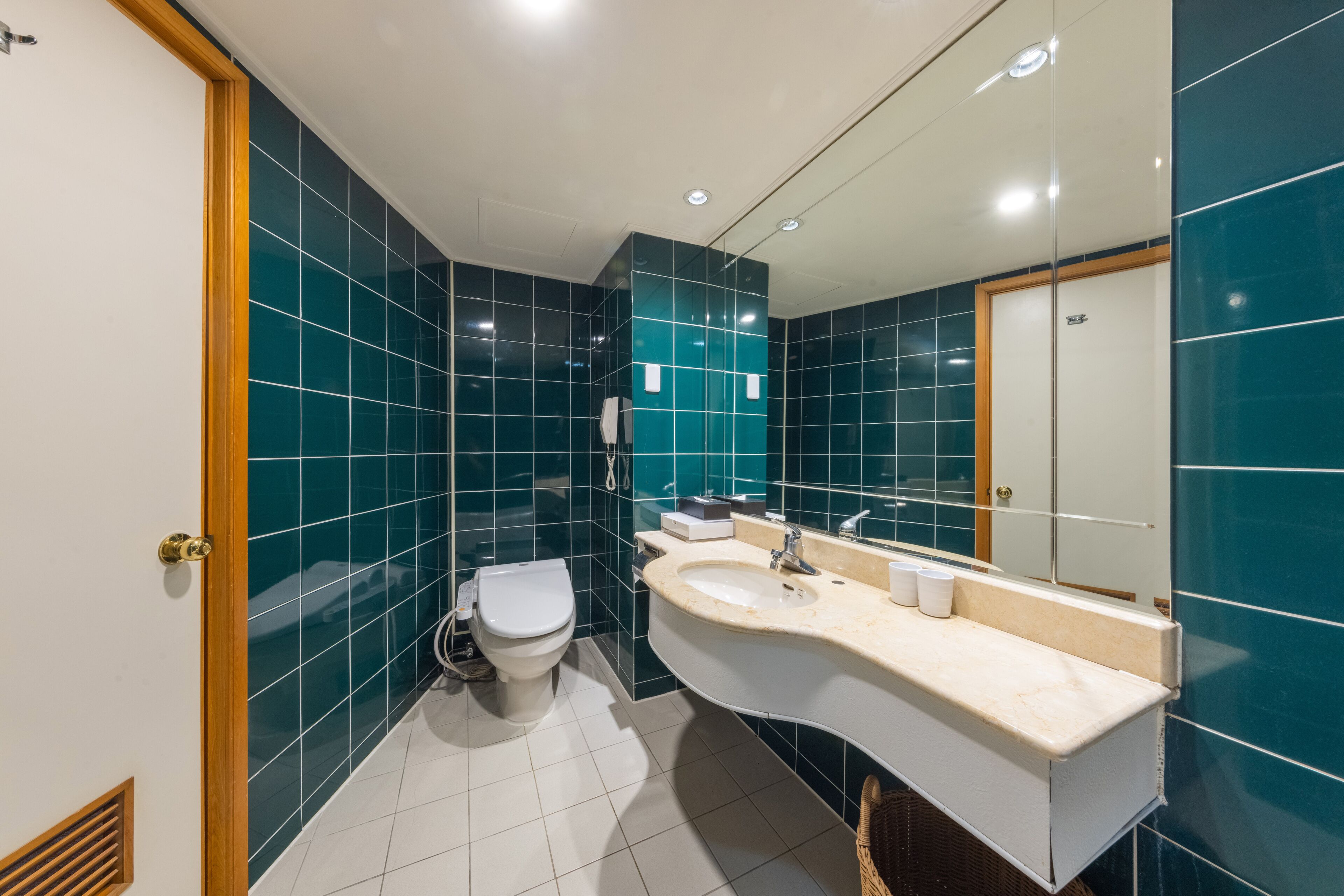 hair dryer, electronic bidet, towels, shampoo