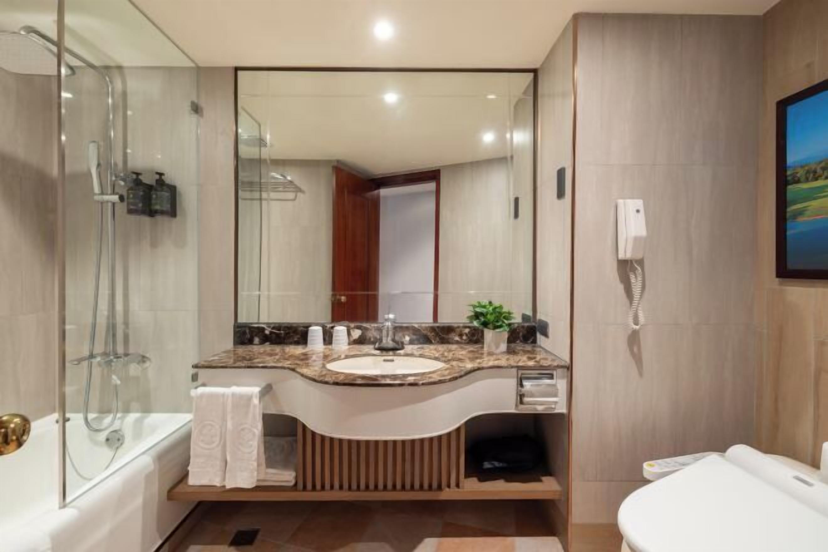 Séchoir à cheveux, toilette dotée d'un bidet électronique