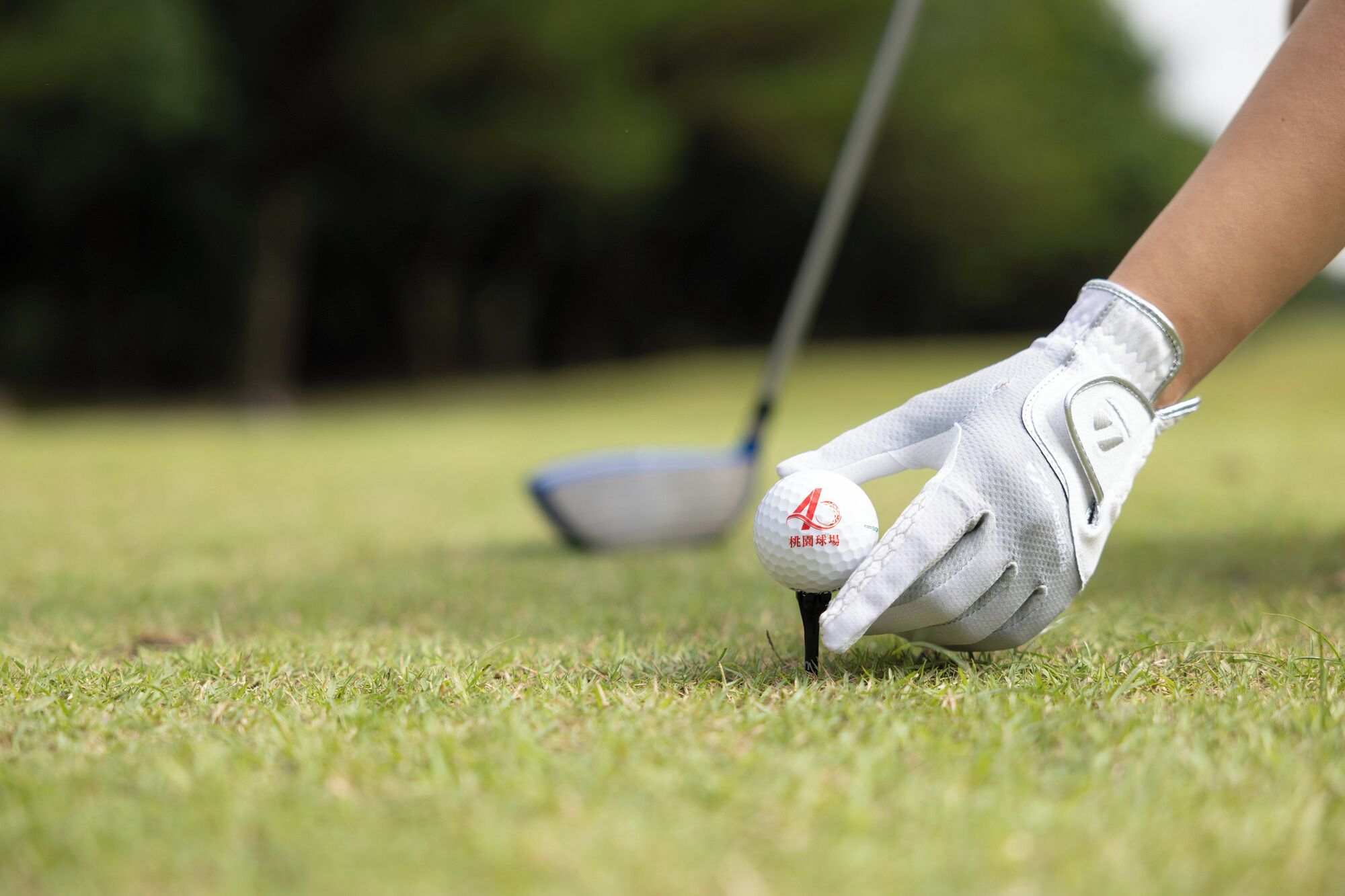 A close-up of a golf glove gripping a golf ball on a grassy field.