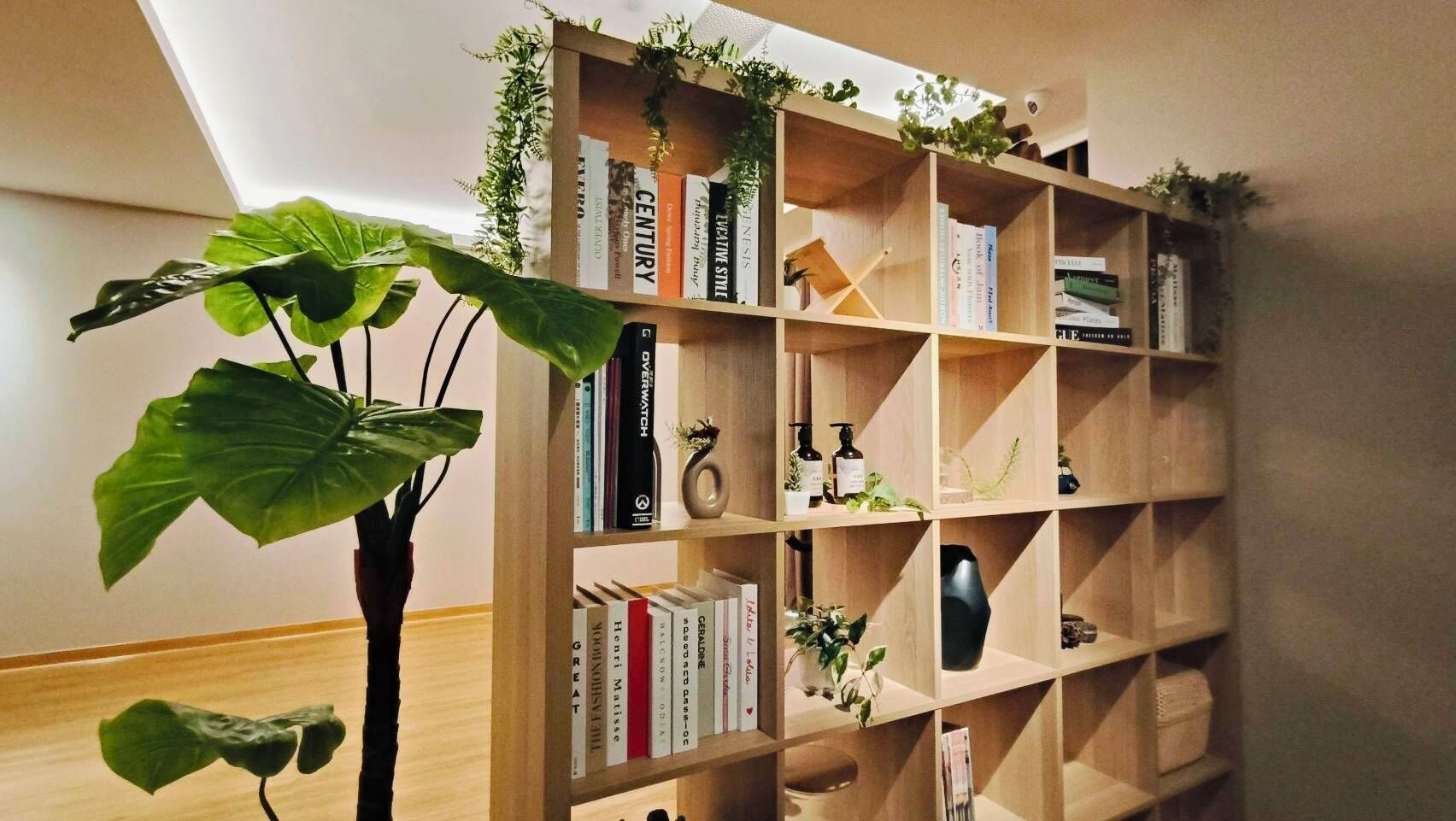 A wooden bookshelf with books and decorative items, a large plant, and a skylight above.