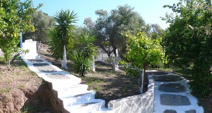 Stefanos Garden