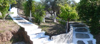 Stefanos Garden