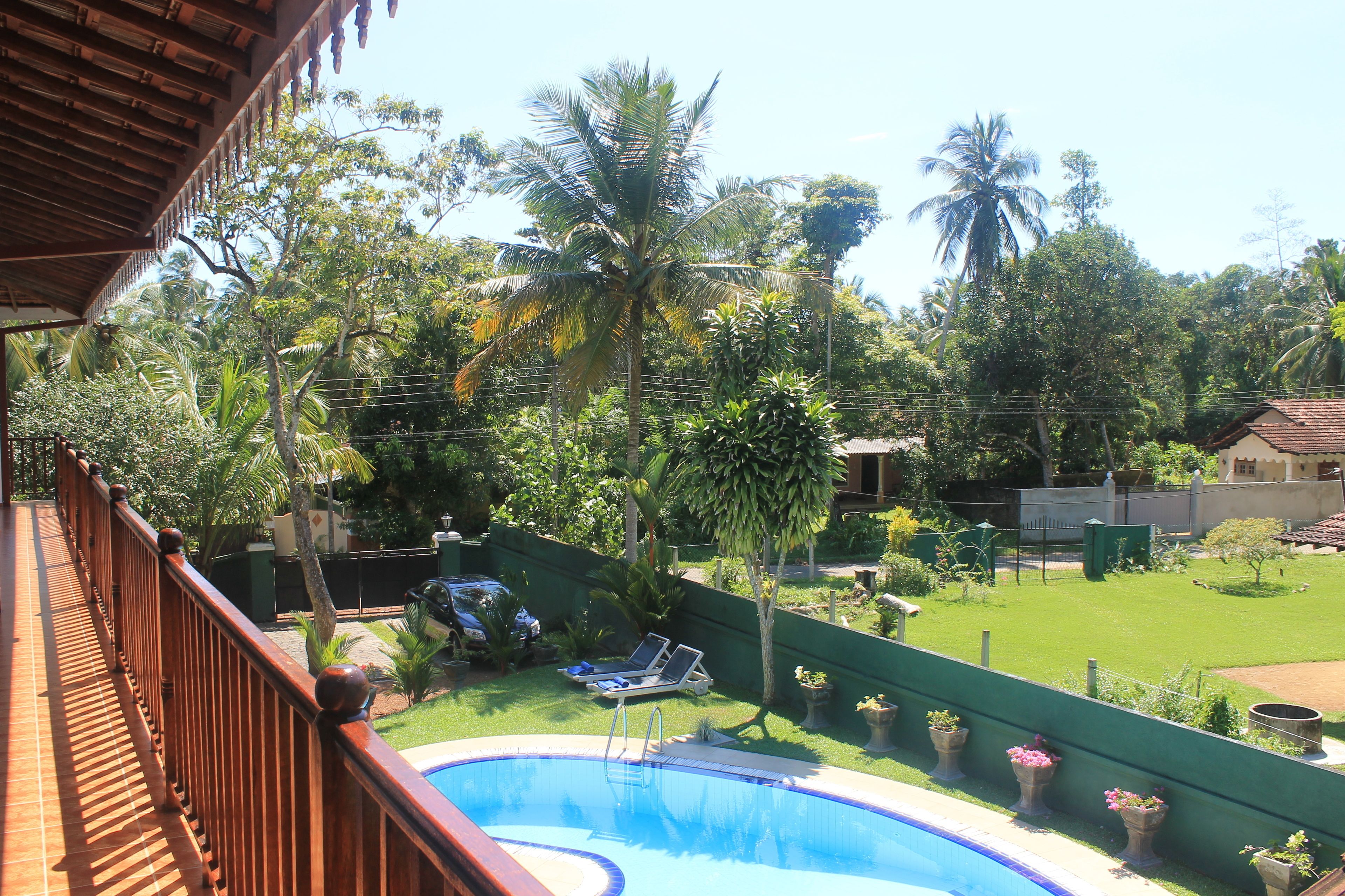 Una piscina con cubierta de madera y vistas a un exuberante jardín con palmeras y una valla verde.